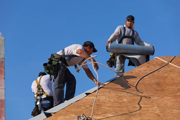 Roof Gutter Cleaning in Ingram, PA